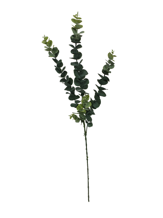 5 Pack - Long Eucalyptus Stem 77 cm