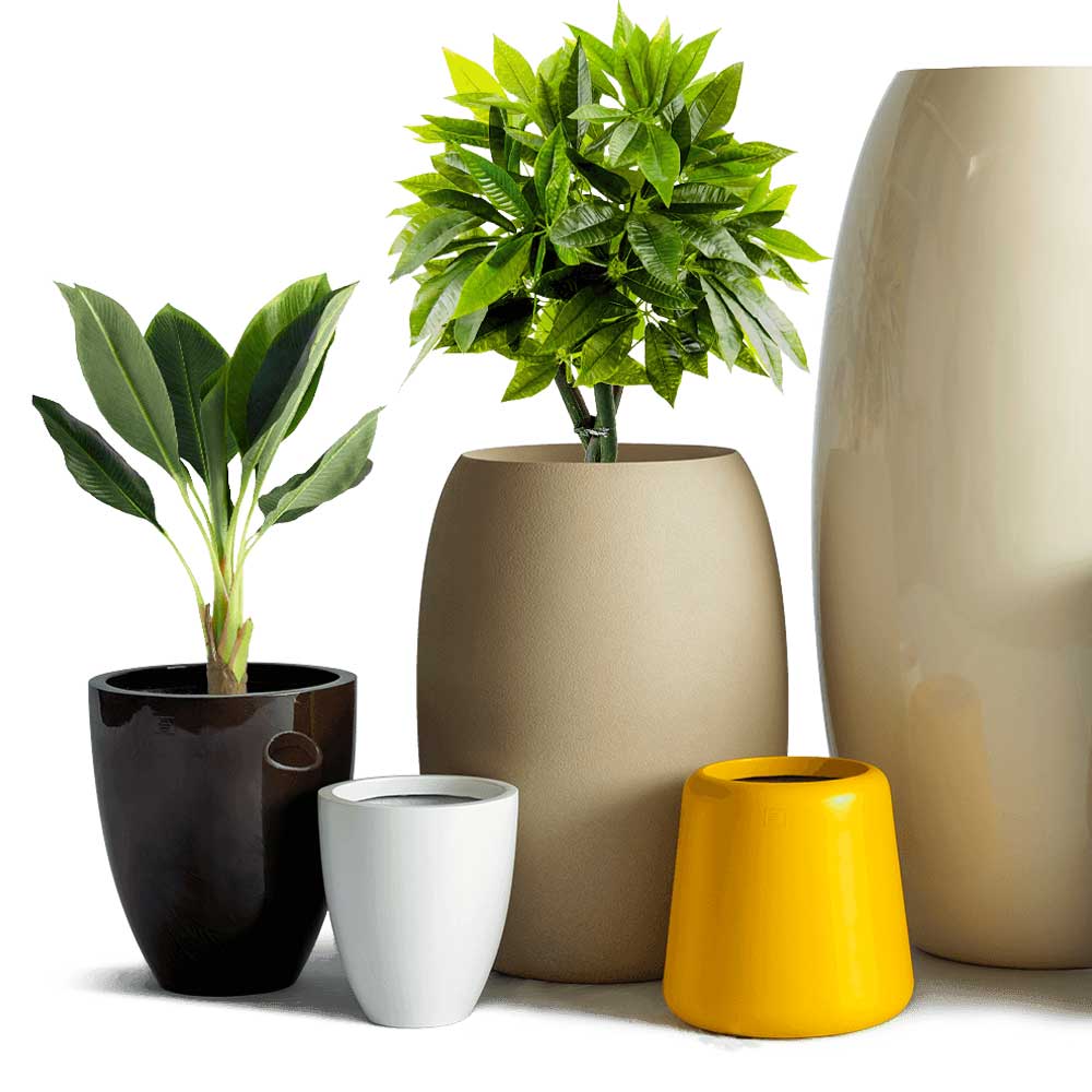 Pots & Planters