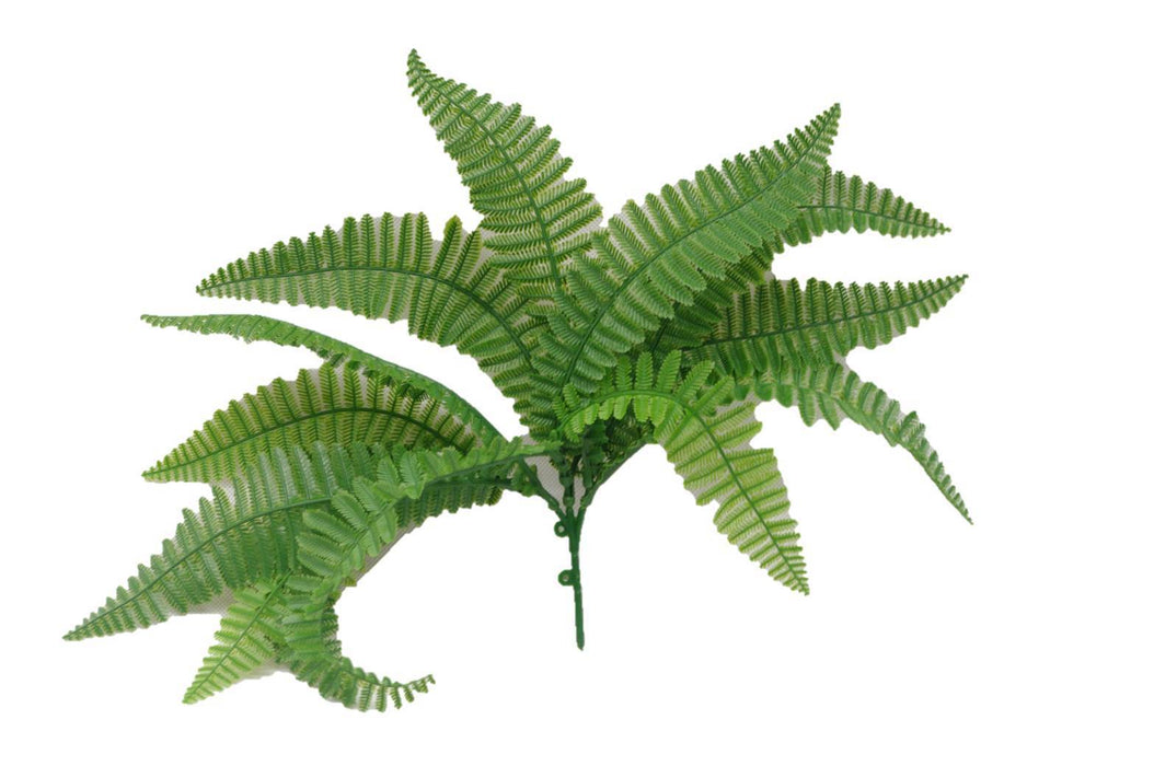 Fern Stem UV