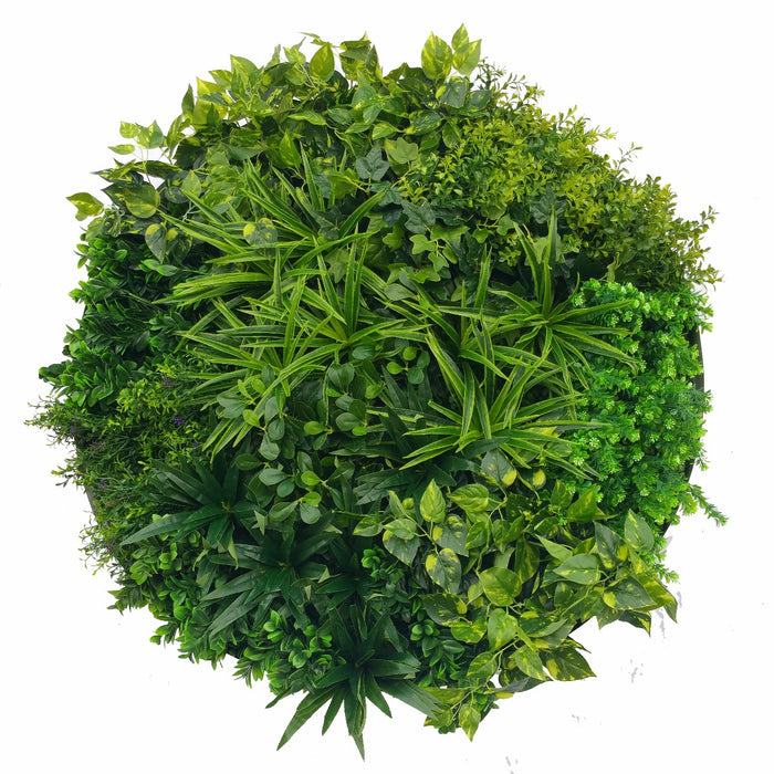 Artificial Green Wall Disk Art 100cm - Dark Aloe Vera