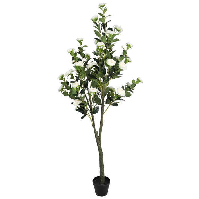 Flowering White Artificial Camellia Tree 180cm